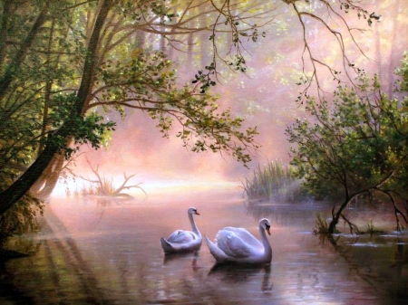 On the pond - morning, swans, trees, mist