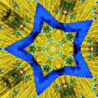 Peacock star