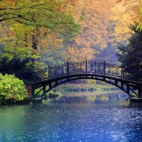 Bridging Autumn