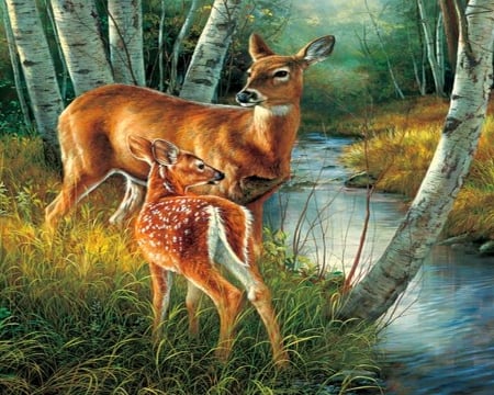 In the meadow - fawn, mother, forest, deer