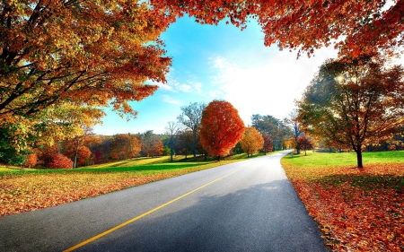 •ღ✿ღ• - fall, road, nature, autumn