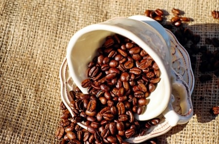 Coffee Beans - brown, coffee, delicious, beans, cup