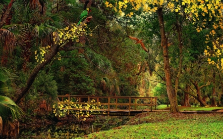 •ღ✿ღ• - trees, nature, green, landscape, HD