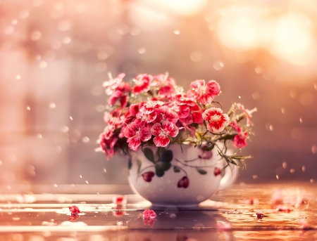 Beautiful Flowers - flowers, still life, bloom, cup