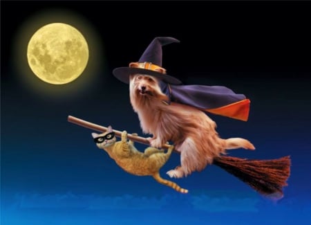 Halloween Alliance - moon, cat, artwork, broom, dog