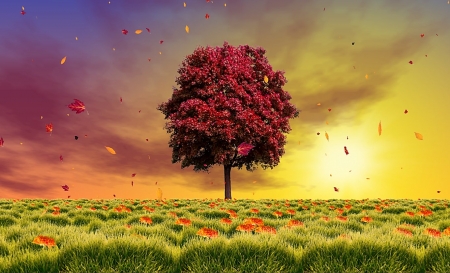 Beautiful autumn tree - nature, autumn, tree, field, sunset