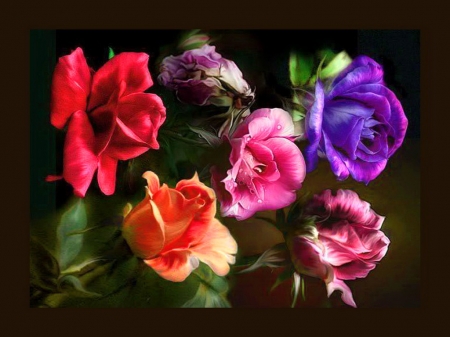 Flower beauty - red, purple, pink, black, flowers