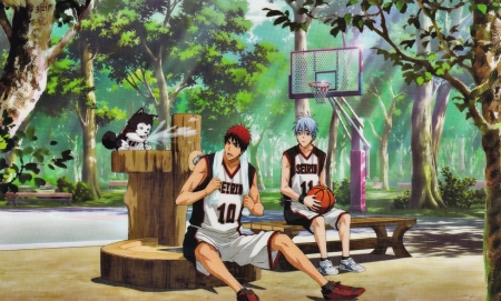 Kuroko No Basket - Red, Basketball, Blue, Kuroko No Basket, Kagami Taiga, Park, Kuroko Tetsuya, Green, Friends, Dog