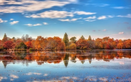 Autumn Reflection in the Lake - lake, forest, reflection, clouds, trees, nature, autumn