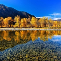 Golden Reflection in the Clear Lake