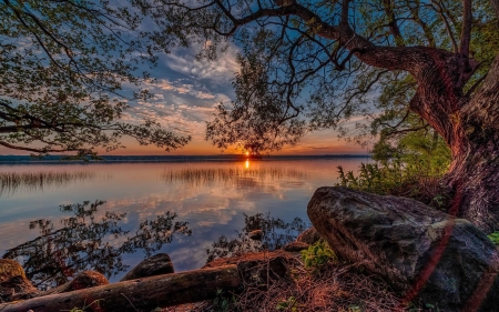 Hiding Sun at the Horizon - nature, horizon, trees, river, sun