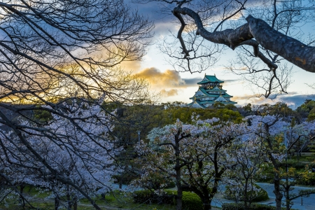 Osaka Castle - osaka, japan, cherry blossom, sakura, scenery, spring, castle, japanese