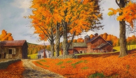 October Farmdrive - fields, attractions in dreams, autumn, street, colorful, october, panoramic view, love fours seasons, paintings, colors, farms, fall season