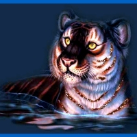 tiger
