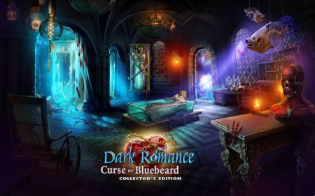 Dark Romance 5 - Curse of Bluebeard08 - hidden object, cool, video games, fun, puzzle