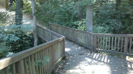 A small bridge - Photograph, Autumn, Leaf, Nature, Fall, Forrest, Photography, Midday, Sunlight, Park, Photo, Daytime, Trees, Leaves, Tree, Sunny Day, Bridge, Sunny, Woods, Wooden Bridge, Leafs, Wood, Day, Wooden, Snapshot