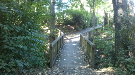 Small Bridge - Photograph, Autumn, Leaf, Sunray, Nature, Fall, Forrest, Photography, Midday, Sunlight, Outside, Park, Photo, Daytime, Trees, Leaves, Tree, Bridge, Sunny, Woods, Wooden Bridge, Leafs, Wood, Day, Sun, Wooden, Snapshot