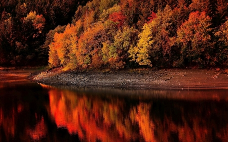 Autumn Coloring the River