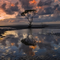 Stormy Sky Above the Muddy Seashore