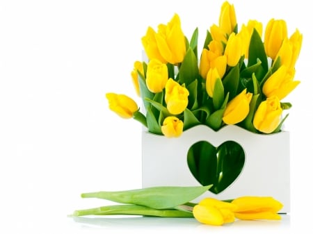 Yellow Tulips - flowers, vase, tulips, nature, yellow, bouquet