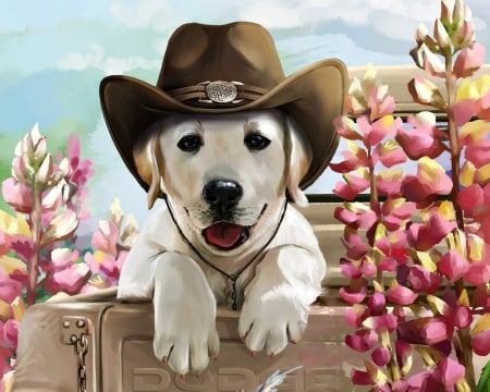 Cowboy puppy - hat, puppy, golden retriever, caine, art, cowboy, pink, luminos, dog, lorri kajenna, cute, flower