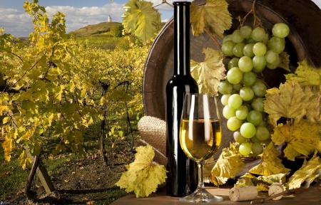 Vineyard Still Life - grapes, bottle, barrel, field, glass