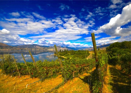 Kettle Valley Vineyard, British Columbia - sky, lake, hills, clouds, canada