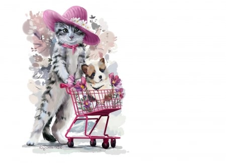 Shopping day - hat, lorri kajenna, dog, pink, cat, pisica, animal, funny, cute, art, luminos