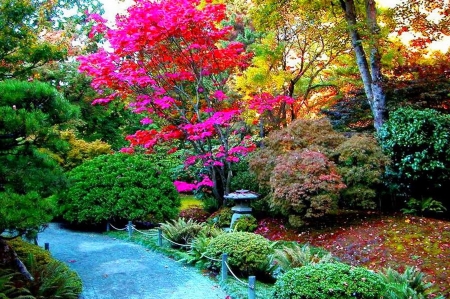 Autumn Park - trees, leaves, colors, path, plants