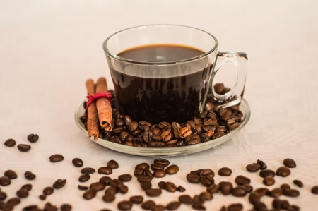 Coffee & Cinnamon - photograph, cinnamon sticks, glas, snapshot, tasty, photo, glassy, hot, cup, fine, cinnamon, coffee beans, coffee, photography