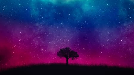 Falling stars - sky, tree, abstract, fantasy