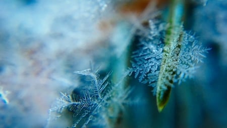 First snow - snow, winter, nature, blue