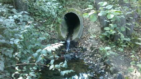 A drain water pipe - outside, snapshot, day, photography, water, park, leaf, creek, nature, daytime, leafs, leaves, midday, photo, photograph, rivulet