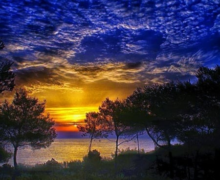 Lake view - lake, trees, sunset, clouds