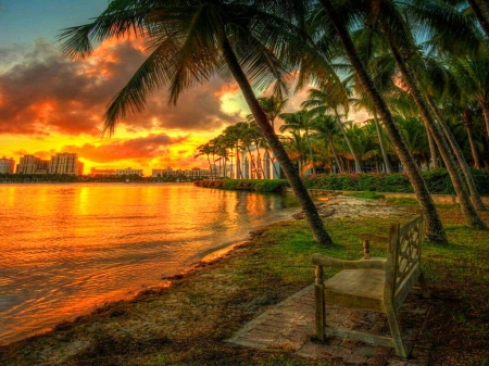 Beach beauty - lake, trees, sunset, beach