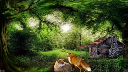 foxes - foxes, forest, logcabin, greengrass