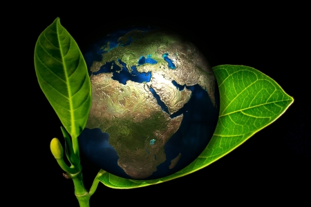 Earth - leaf, world, earth, abstract