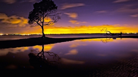 Beautiful Gold Purple Sunset - sky, lake, trees, sunset, gold, nature, purple, evening, clouds