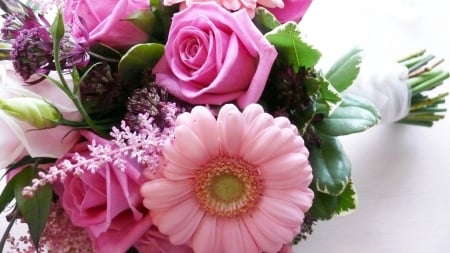 Pink Gerbera and Roses - nature, roses, gerbera, macro, pink, flowers