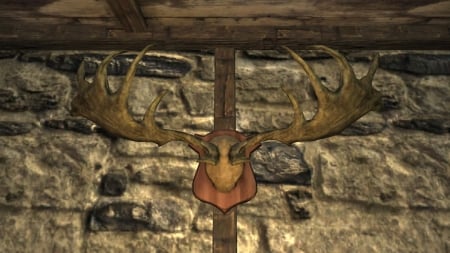 Skyrim Ambiente X - computer game, screenshot, inside, video game, trophy, antlers, fantasy, skyrim, console game, game, console, deer antlers, elder scrolls, tamriel, the elder scrolls v, the elder scrolls, fantasy game