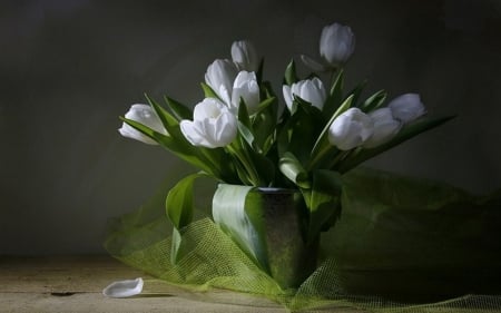 TULIPS - leaves, stems, petals, vase