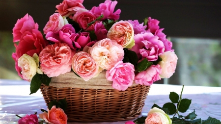 FLOWERS - leaves, basket, petals, colors