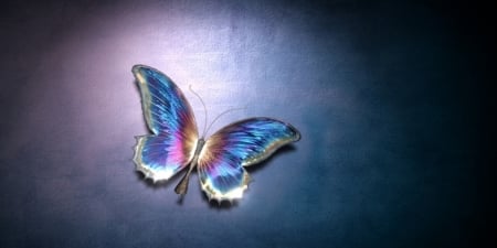 BUTTERFLY - white, butterfly, blue, pink, wings, animal