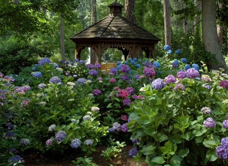 FLOWERS - flowers, gazebo, nature, colors