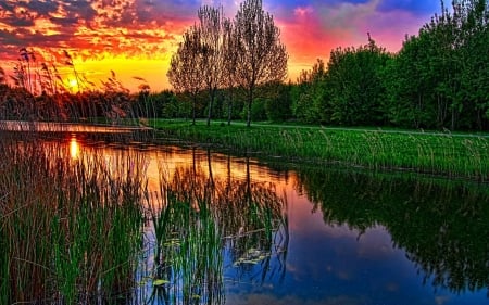 LAKE - nature, water, sky, trees