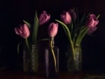 TULIPS