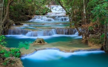 WATERFALL - leaves, trees, nature, water