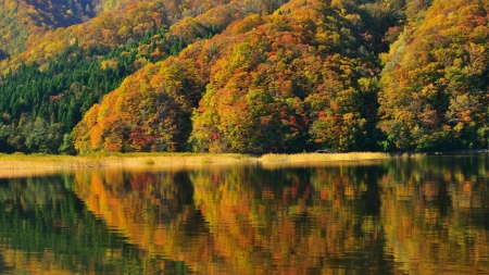 Spectacular Autumn Lake