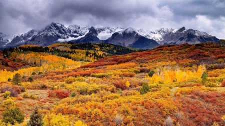 Great Autumn Mountain - nature, autumn, trees, forest, landscape, mountain