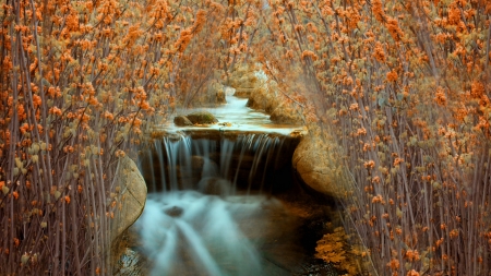 •ღ✿ღ• - fall, stream, water, nature